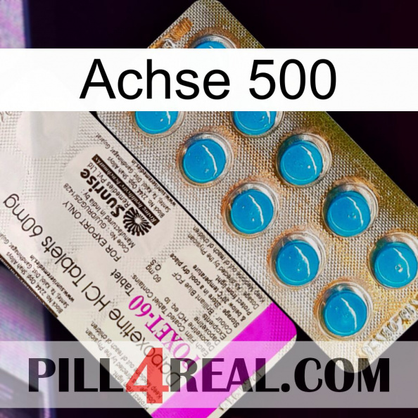 Axcil 500 new07.jpg